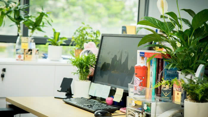 TUYỂN GẤP 1 CHỊ CHUYÊN TẠP VỤ VĂN PHÒNG LÀM VIỆC TẠI TÂN PHÚ, LƯƠNG CAO, CHẾ ĐỘ TỐT