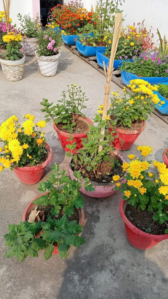 Em đang cần gấp 1 chị phụ giúp việc nhà làm ăn ở lại luôn cho gia đình đi làm