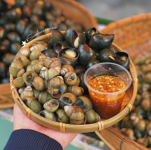 Tuyển Gấp Giúp Việc Nhà Quận 1 - Lương Cao, Bao Ăn Ở