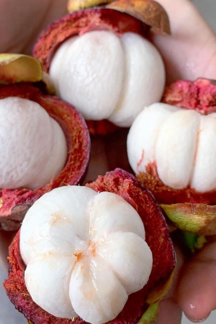 Cần tìm chị giúp việc làm ở lại cho gia đình 4 người lớn