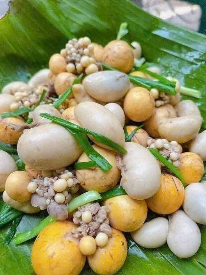 Gia đình cần tuyển 01 cô chăm bé sơ sinh 24/24, ở lại nhà, làm việc tại Biên Hoà, Đồng Nai